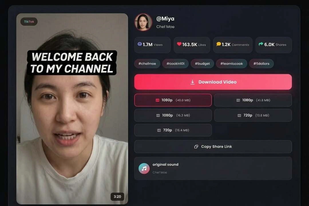 TikTok 슬라이드 쇼 다운 로더 및 TikTok Pic 다운 로더
